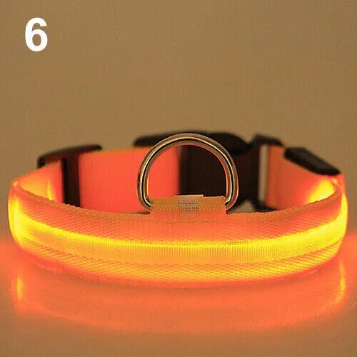 LED Pet Dog Cats Collar Night Flashing Glow In The Dark Puppy Pet Dog Leash