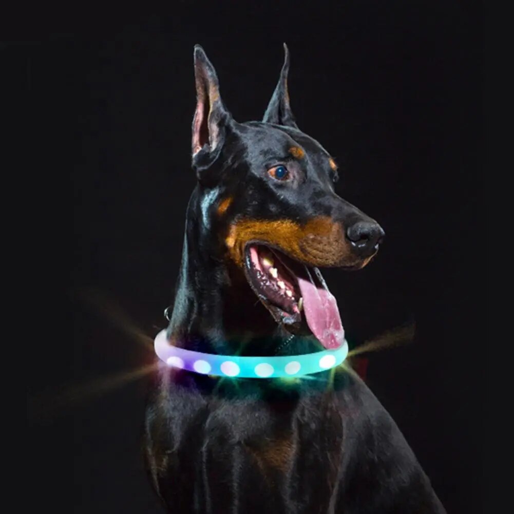 Led Dog Collar Cuttable Led Pet Collars Rechargeable Comfortable Luminous Accessories for Dogs Pet Supplies Flashing Dog Collar