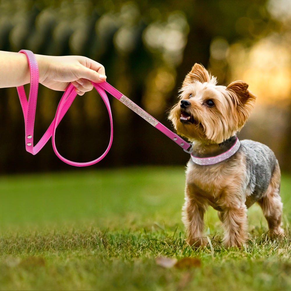 Pet Cat Dog Collar