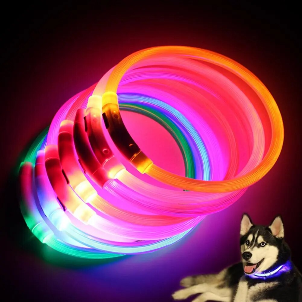 LED Dog Cat Collar Luminous Rechargeable for Outdoor Light up Collar USB Charging Puppy for Outdoor