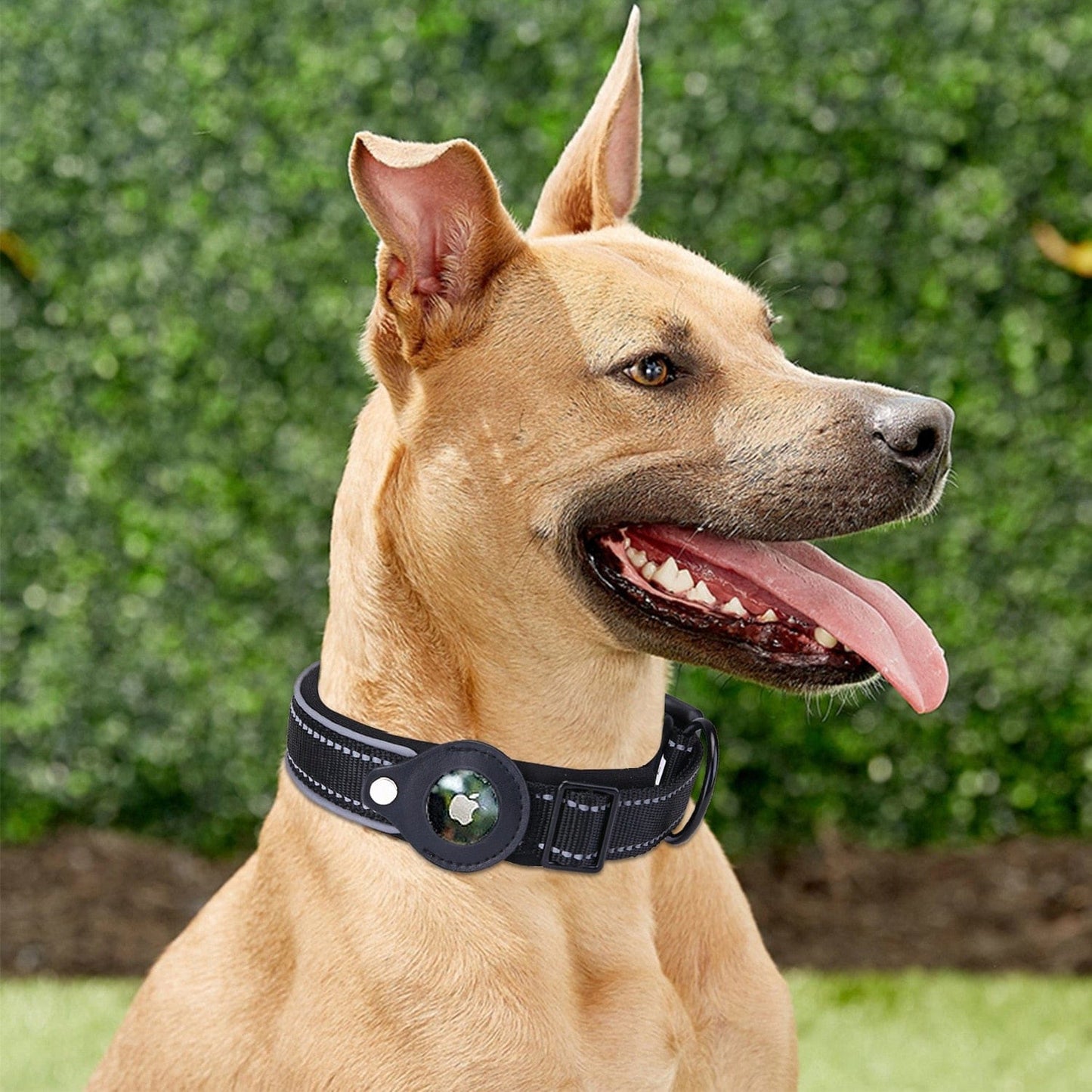 Airtag Dog Cat Pet Collar