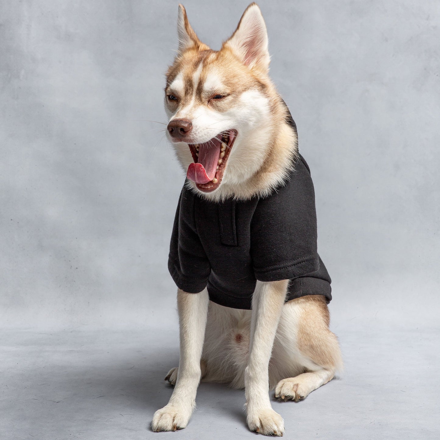US Army Dog Hooded Sweatshirt Hoodie Dog