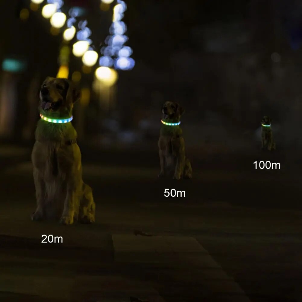 Led Dog Collar Cuttable Led Pet Collars Rechargeable Comfortable Luminous Accessories for Dogs Pet Supplies Flashing Dog Collar