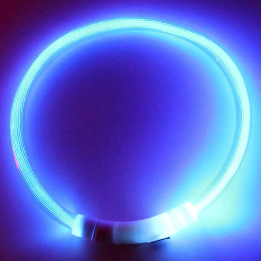 LED Dog Cat Collar Luminous Rechargeable for Outdoor Light up Collar USB Charging Puppy for Outdoor