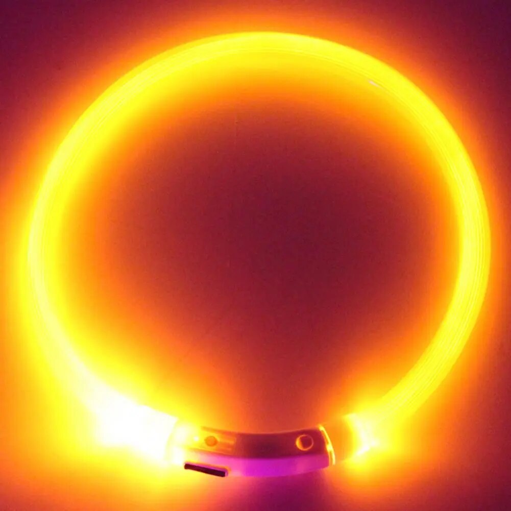 LED Dog Cat Collar Luminous Rechargeable for Outdoor Light up Collar USB Charging Puppy for Outdoor