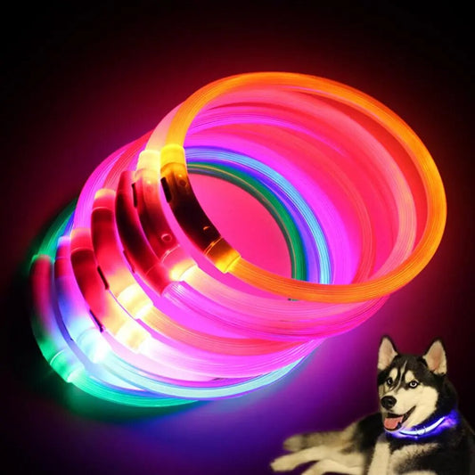 LED Dog Cat Collar Luminous Rechargeable for Outdoor Light up Collar USB Charging Puppy for Outdoor