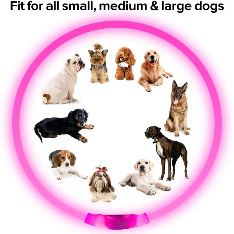 Led Usb Dog and Cat Collar Pet Dog Cat Night Luminous Charge Collar Led Night Safety Flashing Glow Dog Cat Loss Prevention Collar Pet Accessories